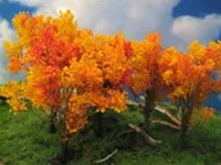 295-T21 Grand Central Gems Fall Oak Tree Medium, 4-6" Tall pkg(6)