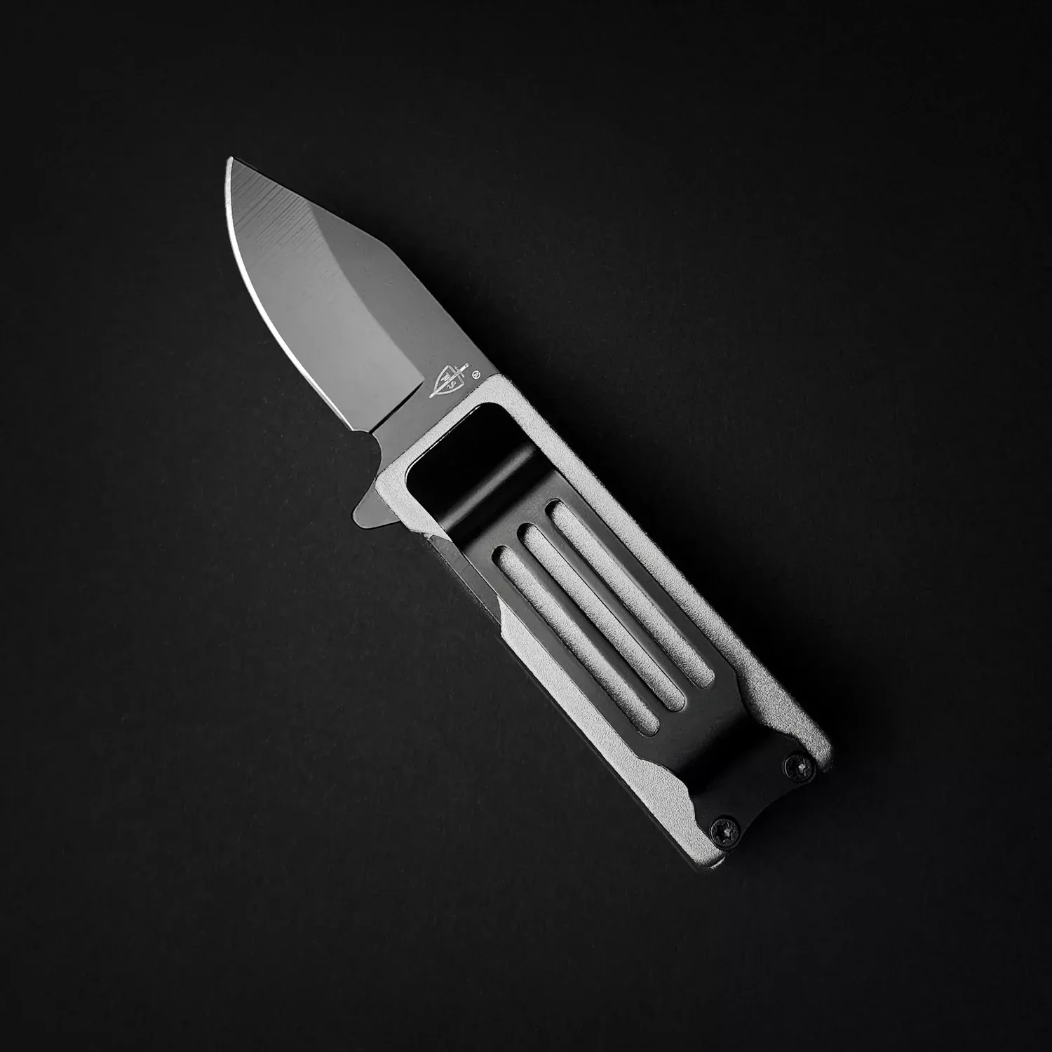 4 1/2″ Silver Lighter Case EDC Spring Assist Knife