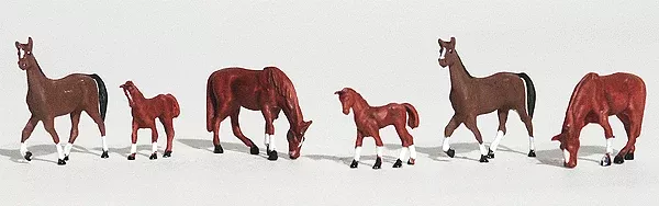 Chestnut Horses