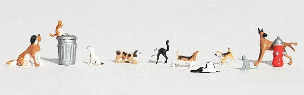 Dogs & Cats