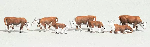 Hereford Cows