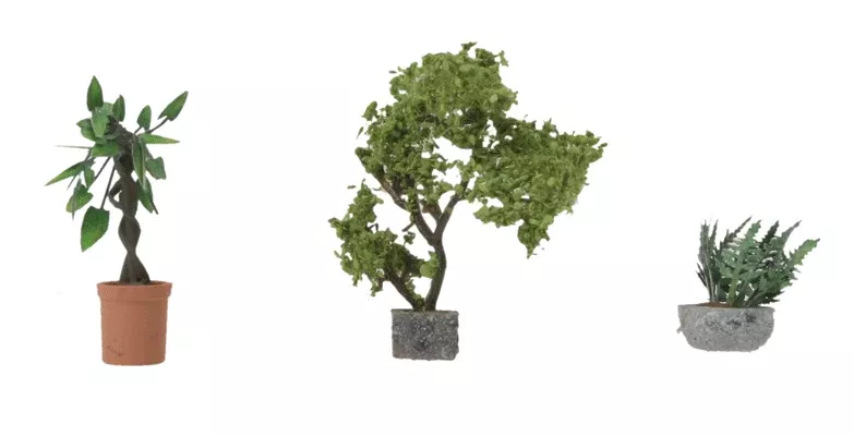 HO Botanicals