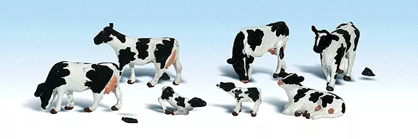 Holstein Cows (11)