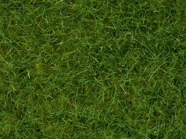 Noch 07102 - Wild Grass - Light Green