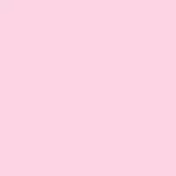 Tru-Color 226 Passenger Car Interior Pink