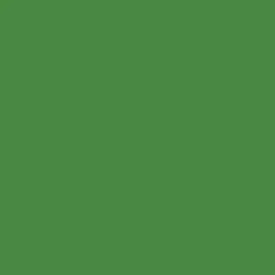 Tru-Color 503 High Gloss Sublime Green