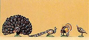 Turkeys & Peacocks 4 | Two Turkeys and Two Peacocks Collection