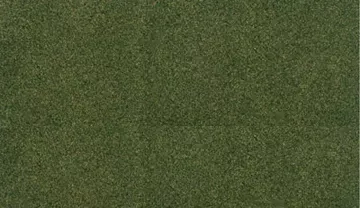 Woodland Scenics RG5173 ReadyGrass 25