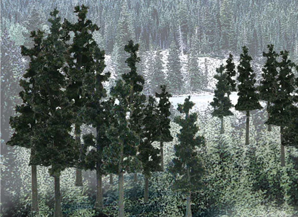 Woodland Scenics TR1580 Value Trees, Conifer 2.25-4